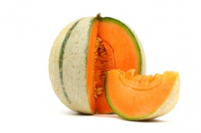 Meloun Cantaloupe